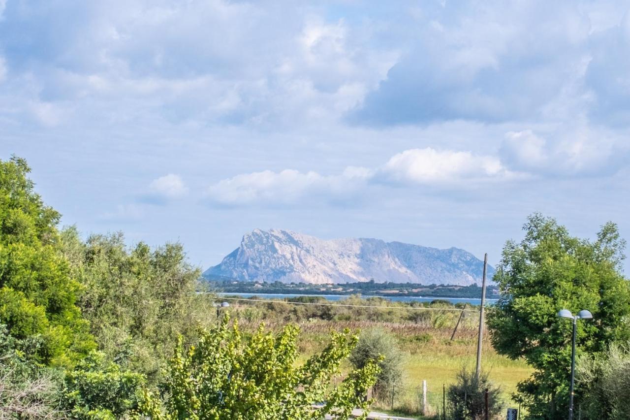 Iss Travel, Pedra Rosa 2 Bedroom Apartments With Private Terrace And Air Conditioning San Teodoro  Zewnętrze zdjęcie